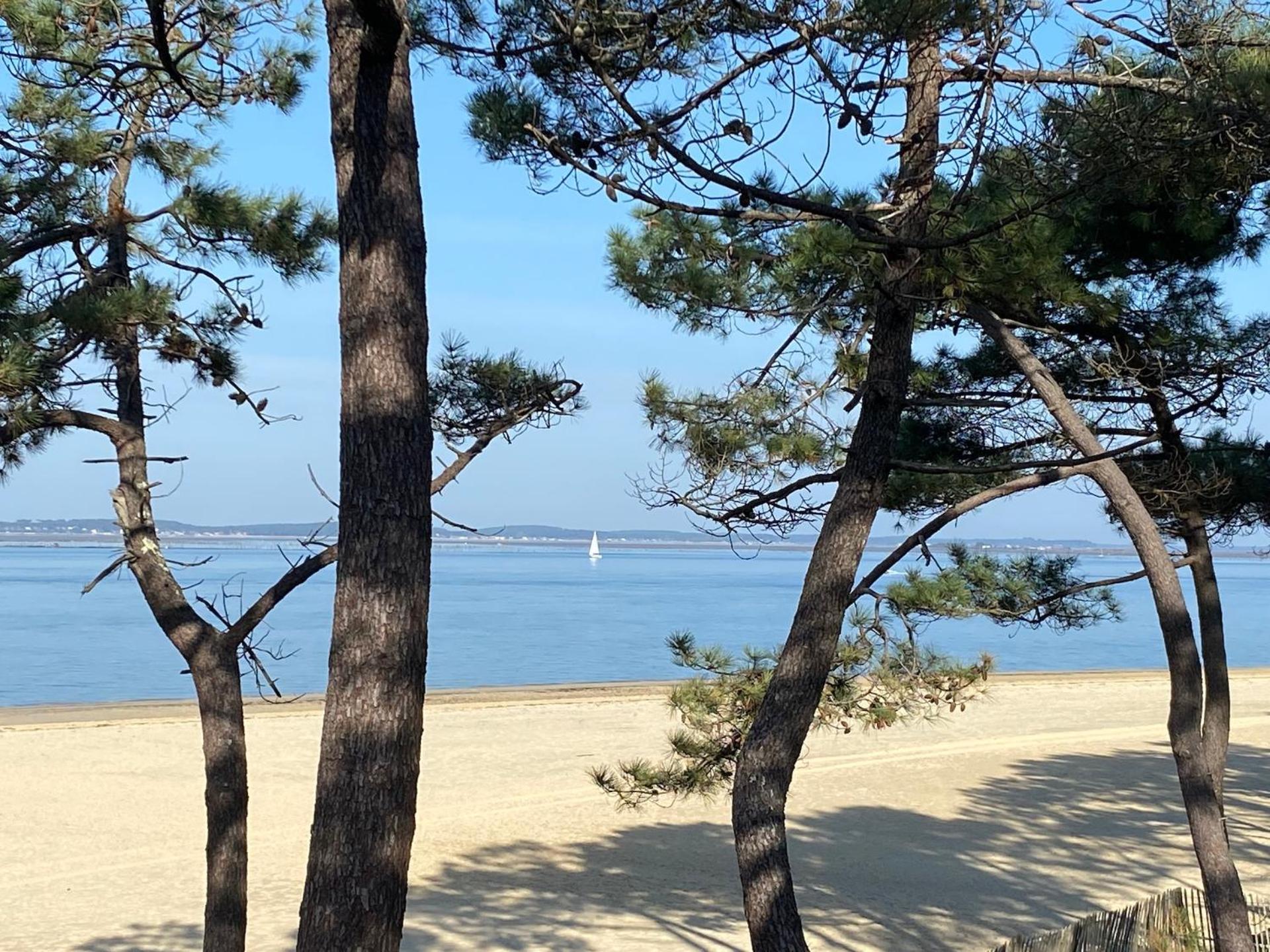 Charme & Confort- Les Cottages Du Bassin D'Arcachon- Petit-Dejeuner Sur Demande - Nuitee, Court Sejour, Semaine 구장메스트라 외부 사진