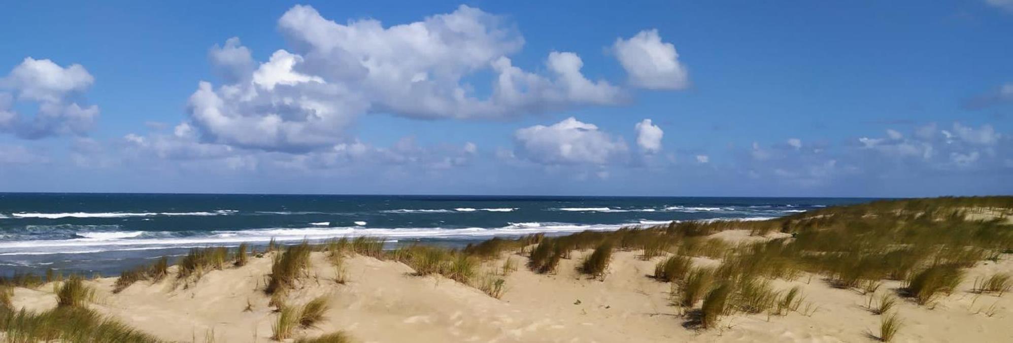 Charme & Confort- Les Cottages Du Bassin D'Arcachon- Petit-Dejeuner Sur Demande - Nuitee, Court Sejour, Semaine 구장메스트라 외부 사진